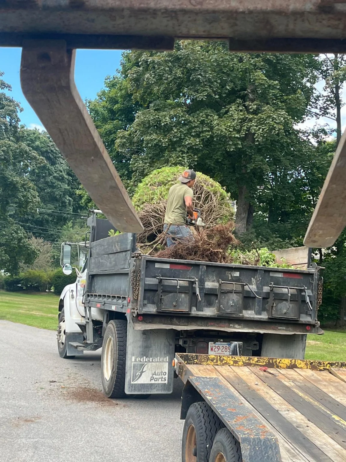 paving-services-review (6)